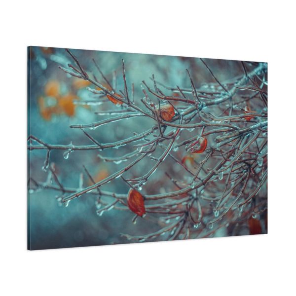 91638-595.jpg Tree Branches Covered in Ice Standard Canvas