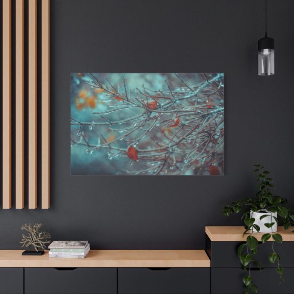 91638-598.jpg Tree Branches Covered in Ice Standard Canvas