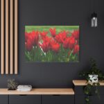 Vibrant Red Tulips Bloom in a Field Standard Canvas - Image 4