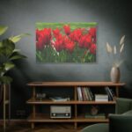 Vibrant Red Tulips Bloom in a Field Standard Canvas - Image 5