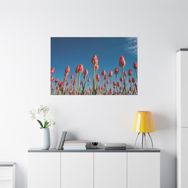 A Low-Angle Shot of a Field of Red Tulips Standard Canvas