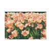 A Large Grouping of Light Tulips in Sunlight Standard Canvas