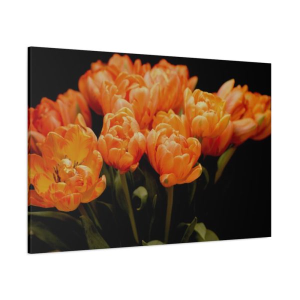 91638-635.jpg A Bouquet of Bright Orange Tulips Standard Canvas
