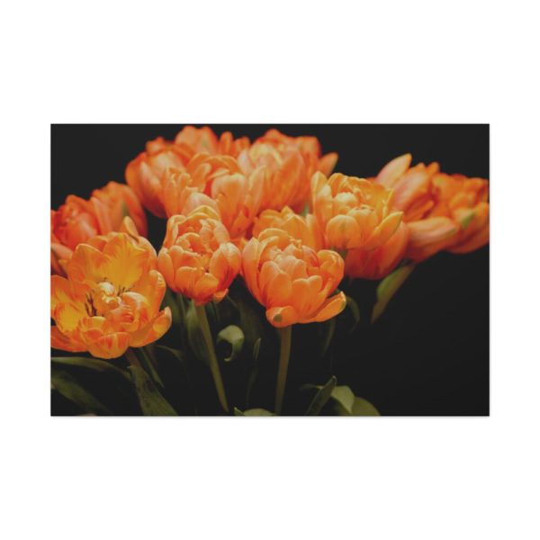 91638-636.jpg A Bouquet of Bright Orange Tulips Standard Canvas