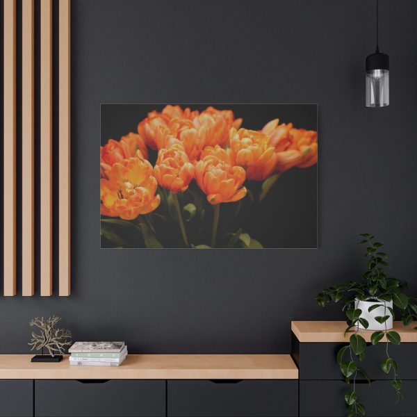 91638-638.jpg A Bouquet of Bright Orange Tulips Standard Canvas