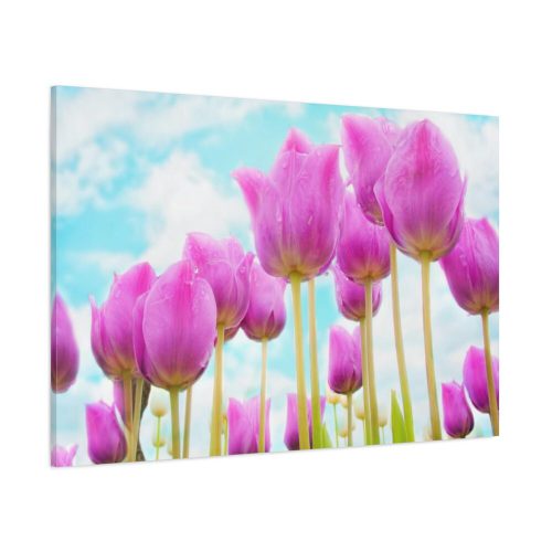 91638-665.jpg Pink Tulip Standard Canvas