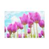 91638-666.jpg Pink Tulip Standard Canvas