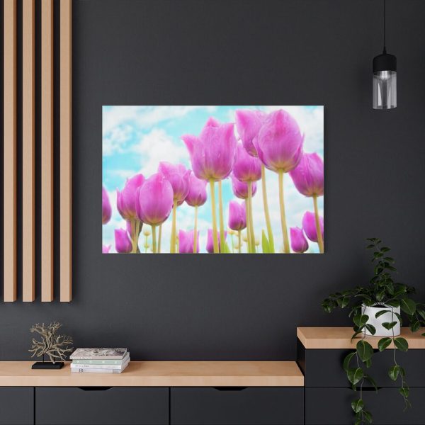 91638-668.jpg Pink Tulip Standard Canvas