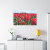 91638-672.jpg Red Tulip Field Standard Canvas