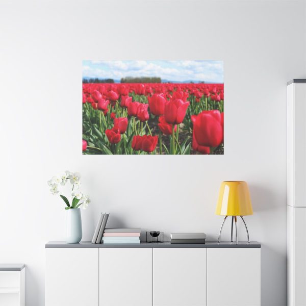 91638-672.jpg Red Tulip Field Standard Canvas