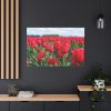 91638-673.jpg Red Tulip Field Standard Canvas