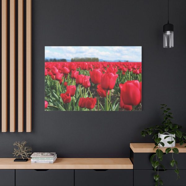91638-673.jpg Red Tulip Field Standard Canvas