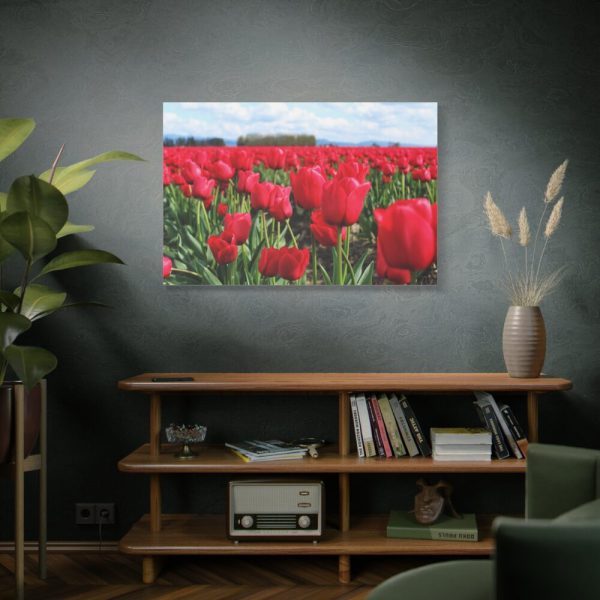 91638-674.jpg Red Tulip Field Standard Canvas