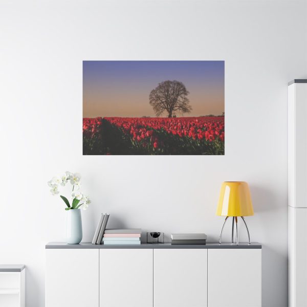 91638-677.jpg Tulips Field Standard Canvas