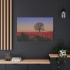 91638-678.jpg Tulips Field Standard Canvas