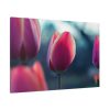 91638-680.jpg Blooming Pink Tulips in the Evening Light Standard Canvas
