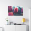 91638-682.jpg Blooming Pink Tulips in the Evening Light Standard Canvas
