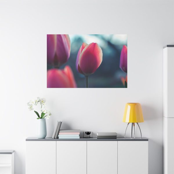 91638-682.jpg Blooming Pink Tulips in the Evening Light Standard Canvas