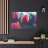 91638-683.jpg Blooming Pink Tulips in the Evening Light Standard Canvas