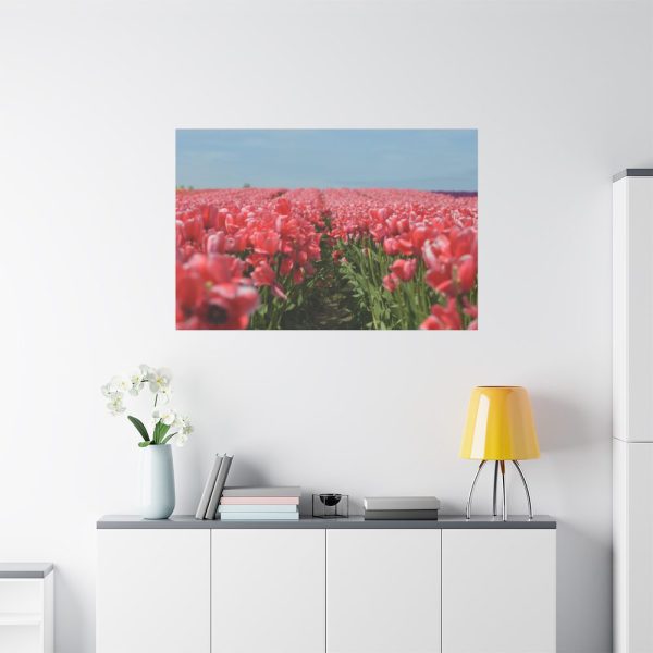 91638-692.jpg Pink Tulip Field Standard Canvas