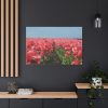 91638-693.jpg Pink Tulip Field Standard Canvas