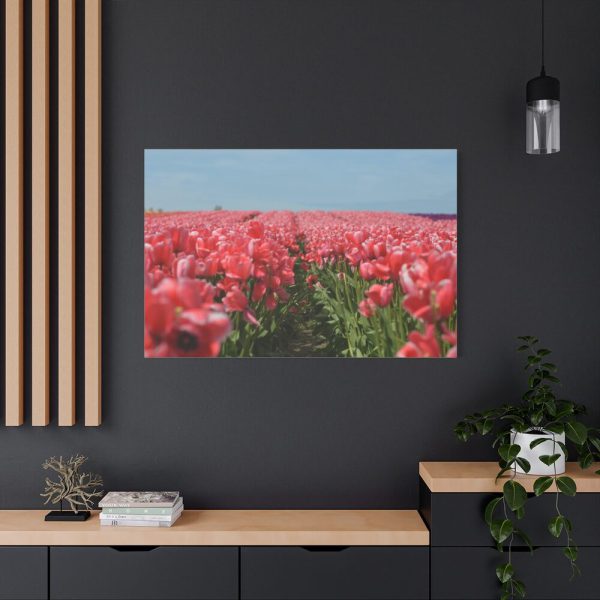 91638-693.jpg Pink Tulip Field Standard Canvas