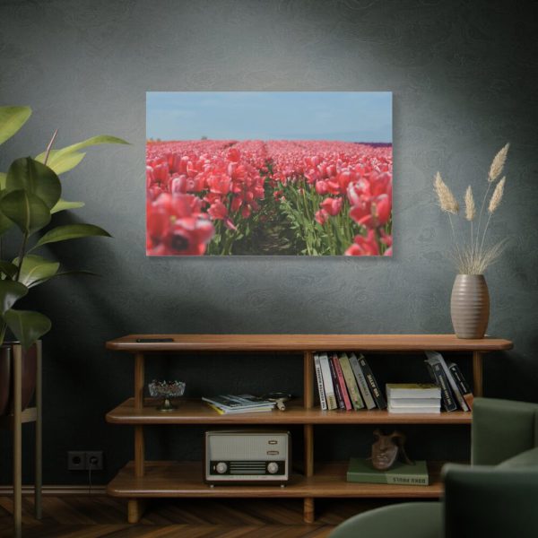 91638-694.jpg Pink Tulip Field Standard Canvas