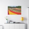 91638-697.jpg Colorful Tulip Field Standard Canvas