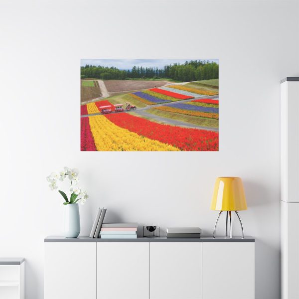 91638-697.jpg Colorful Tulip Field Standard Canvas