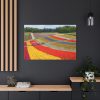 91638-698.jpg Colorful Tulip Field Standard Canvas