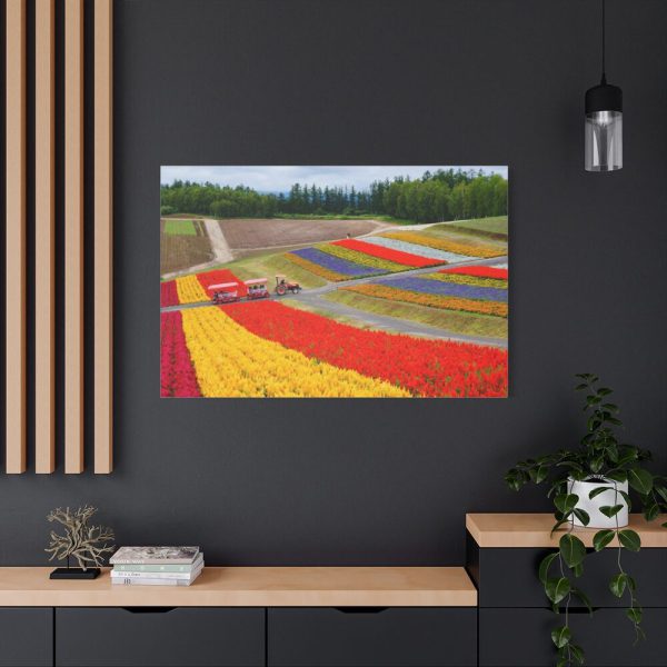 91638-698.jpg Colorful Tulip Field Standard Canvas