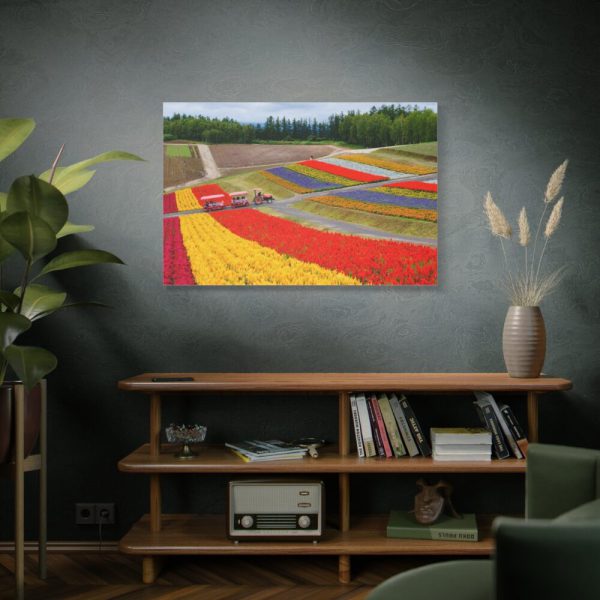 91638-699.jpg Colorful Tulip Field Standard Canvas