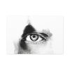 91638-758.jpg Eye Black and White Standard Canvas