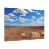 91638-773.jpg Agriculture Harvest Corn Standard Canvas