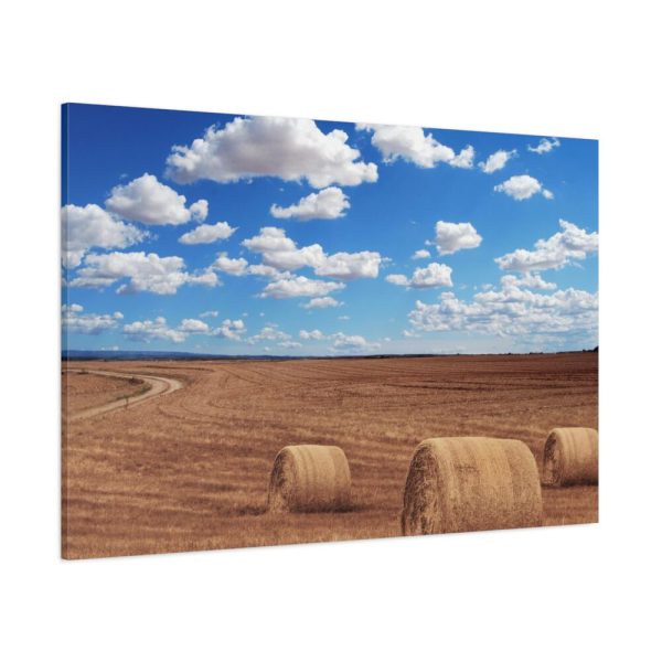 91638-773.jpg Agriculture Harvest Corn Standard Canvas