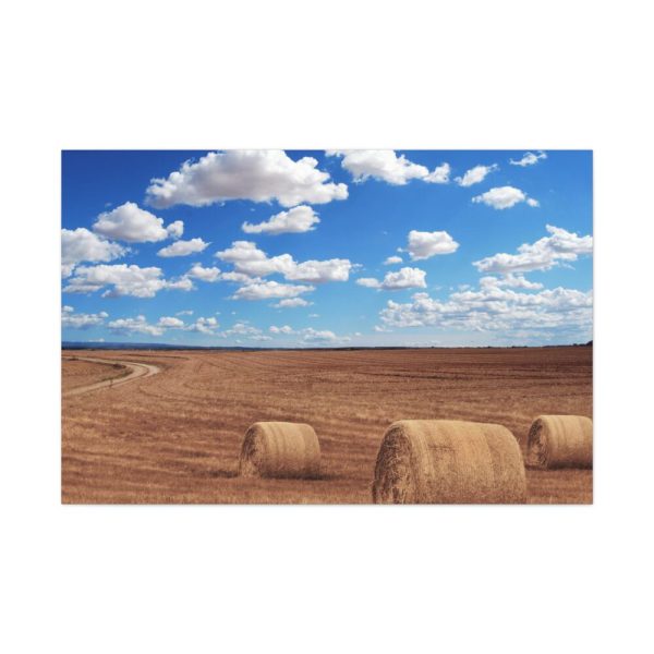 91638-774.jpg Agriculture Harvest Corn Standard Canvas