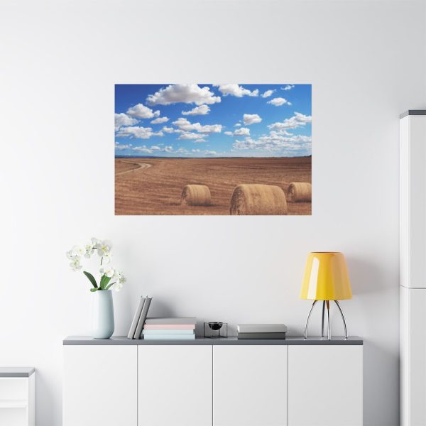91638-775.jpg Agriculture Harvest Corn Standard Canvas