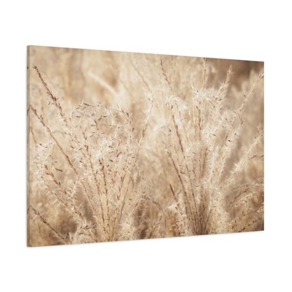 91638-777.jpg Wheat Crops Standard Canvas