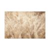 91638-778.jpg Wheat Crops Standard Canvas
