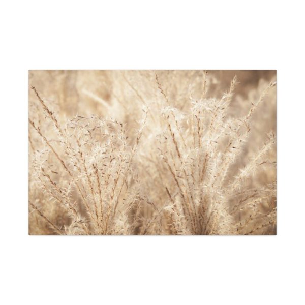 91638-778.jpg Wheat Crops Standard Canvas