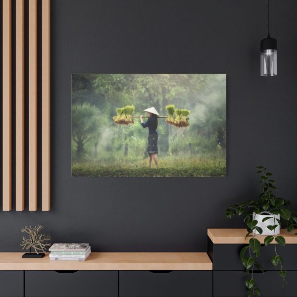 91638-788.jpg Rice Harvest Standard Canvas