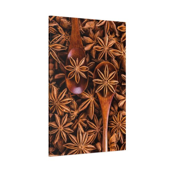 91655-110.jpg Anise Spices Seeds Standard Canvas