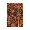 91655-111.jpg Anise Spices Seeds Standard Canvas