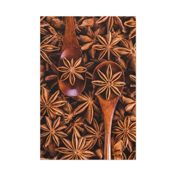 91655-111.jpg Anise Spices Seeds Standard Canvas