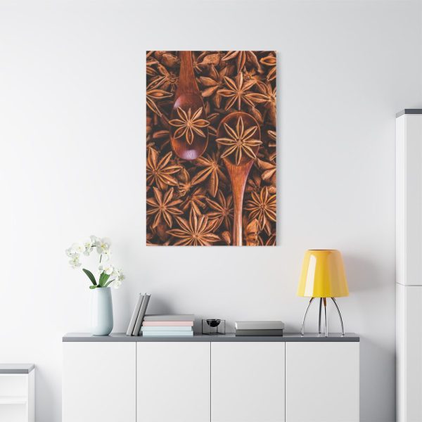91655-112.jpg Anise Spices Seeds Standard Canvas