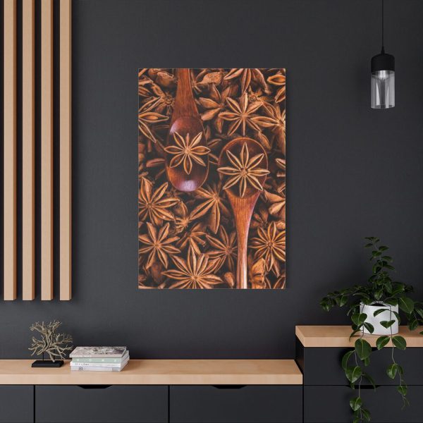 91655-113.jpg Anise Spices Seeds Standard Canvas