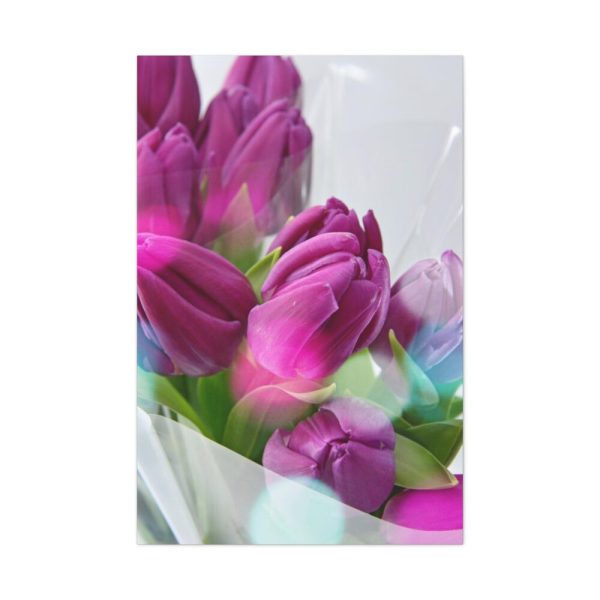 91655-186.jpg Purple Tulip Standard Canvas