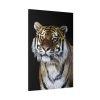 91655-45.jpg Cute Siberian Tiger Standard Canvas