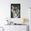 91655-47.jpg Cute Siberian Tiger Standard Canvas