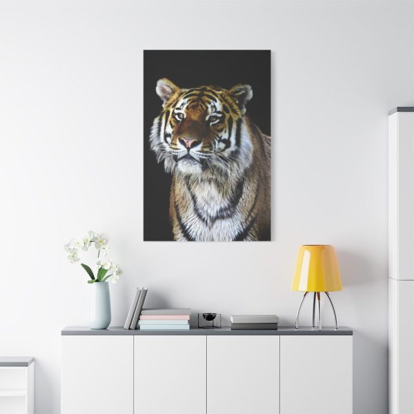 91655-47.jpg Cute Siberian Tiger Standard Canvas